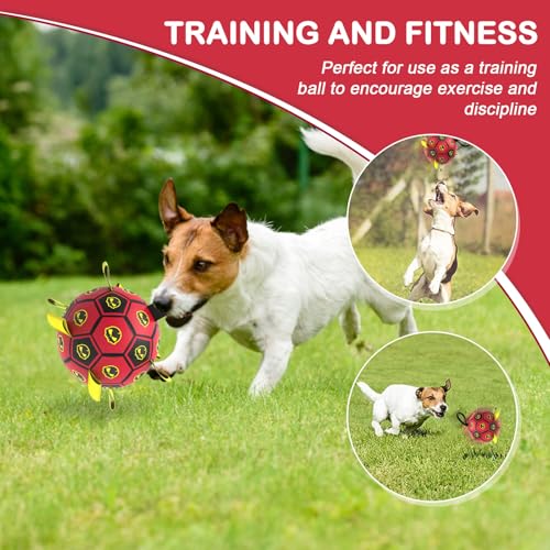 Image of Interactive Dog Toy Balls with 4 Layers, World Cup Dog Soccer Ball with Straps, Durable Dog Balls with Skull Pattern, Waterproof Advanced Football Pets, Indoor & Outdoor Use(6 Inch)