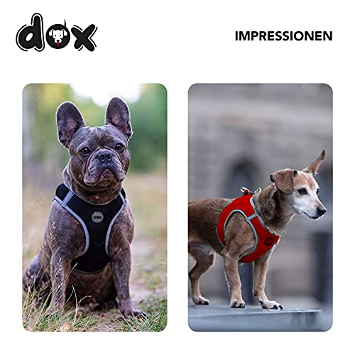 Welpengeschirr DDOXX Air Mesh Step-In für kleine bis große Hunde