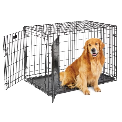 LifeStages 42-Inch Double Door