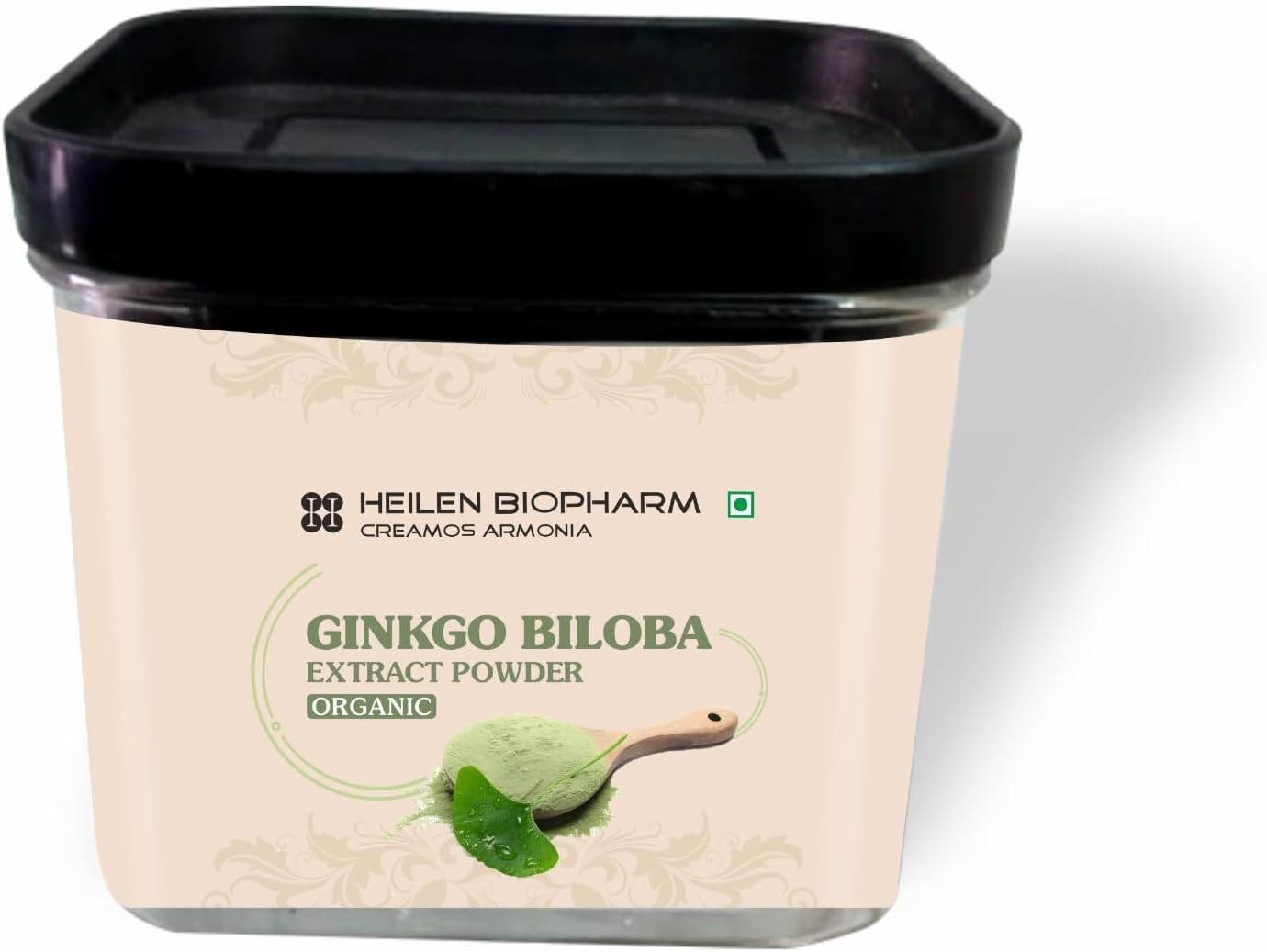 Heilen Biopharm Ginkgo Biloba Extract Powder | For Energy, Focus & Brain Health | 100% Natural Herbal Supplement | 50g Pack of 1
