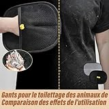 Zoom IMG-2 2 pezzi guanti statici per Zoom IMG-2 2 pezzi guanti statici per