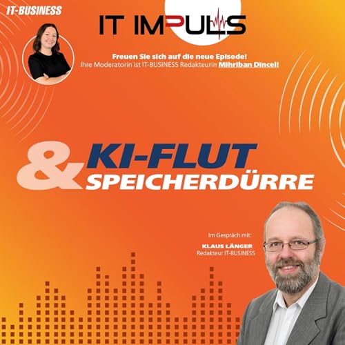 #15 &ndash; KI-Flut und Speicherd&uuml;rre