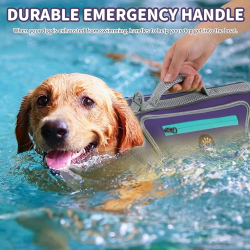 Dog-Swimming-Vest-with-D-Ring-Lightweight-Dog-Life-Vests-for-Boating-Reflective-Dog-Lifejackets-Swimsuit-Neoprene-Pet-Life-Jacket-with-Rescue-Handle-for-Small-Medium-Dogs-Purple-S Dog Swimming Vest with D Ring Lightweight Dog Life Vests for Boating Reflective Dog Lifejackets Swimsuit Neoprene Pet Life Jacket with Rescue Handle for Small Medium Dogs Purple S