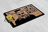 TruffleShuffle Breaking Bad I Am The One Who Knocks Door Mat