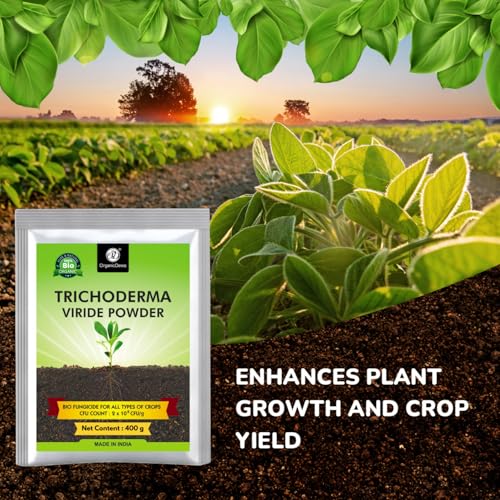 Image of OrganicDews Trichoderma Viride Powder 400 g (2 x 10^8 CFU per Gram) Bio Fungicide for Plants Controls Root Rot /Stem Rot - 400 g