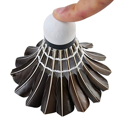 Qichuan Whizz Badminton Birdies Goose Feather Nylon Shuttlecocks Durable Balls For Indoor Outdoor Game, Black 12 Pack #TOP1