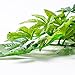 SLSON Reptile Plants Hanging Terrarium Plants Fake Reptiles Climbing Plant for Bearded Dragons,Lizards,Geckos,Snake Pets and Hermit Crab Tank Habitat Decorations,Large Size,20 inches