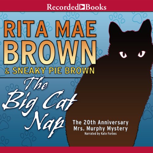 Cover art for The Big Cat Nap