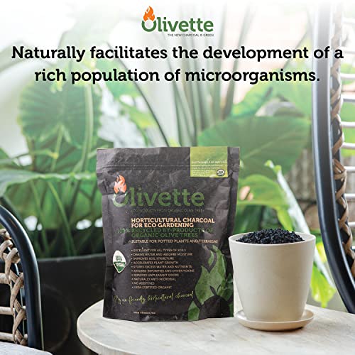 Horticultural Activated Charcoal For Plants By Olivette | Terrarium Horticulture Moisture Absorbers | Terrarium Supplies | Usda Organic Certified | Made From Recycled Olive Tree Byproducts | 1 Qt Bag #TOP4
