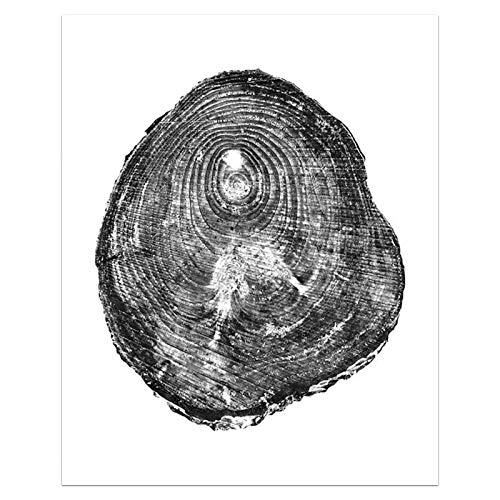Affiche arbre noir et blanc 40x60 cm triptyque nature moderne - 2