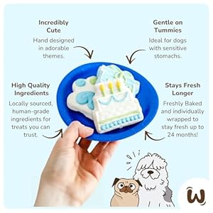 Wufers Dog Birthday Cookie Box - Dog Treat, Dog Cookies, Dog Gifts, Human Grade Ingredients, Cute Hand Decorated and Gentle for Tummies of All Breed Sizes - 9 Cookies, Birthday Boy Wufers Dog Birthday Cookie Box Dog Treat Dog Cookies Dog Gifts Human Grade Ingredients Cute Hand Decorated and Gentle for Tummies of All Breed Sizes 9 Cookies Birthday Boy