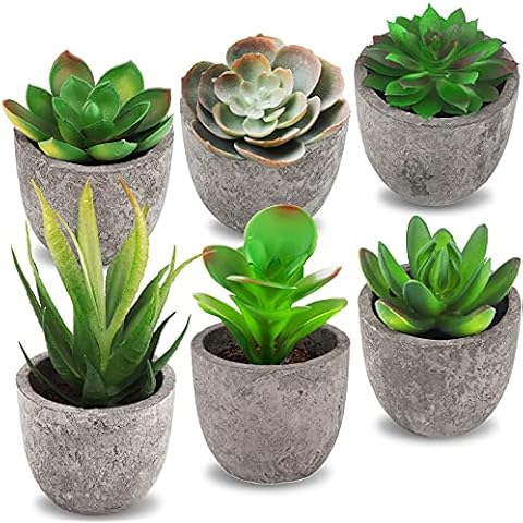 Frasheng 6 Pièces de Plantes Succulentes Artificielles Cover