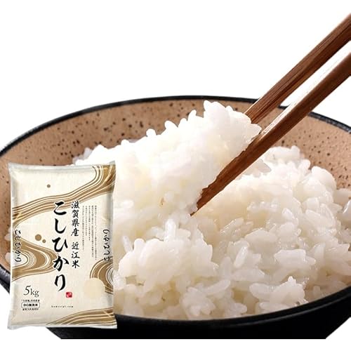 [令和7年産新米]滋賀県産こしひかり BG無洗米 5kg 無洗米 お米 コメ おこめ 白米 コシヒカリ