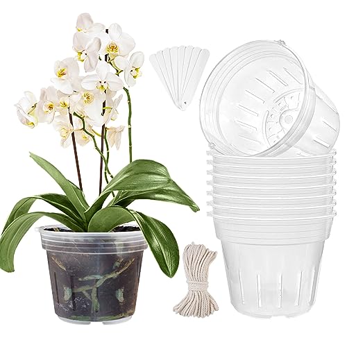 CHTASO Paquete de 8 macetas de orquídeas de 7.2 pulgadas con agujeros para trasplantar macetas de plástico para interiores y exteriores, maceta de orquídeas ranurada transpirable