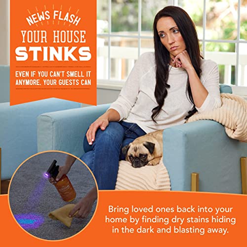 Angry Orange Uv Flashlight - Led Black Light Detector For Dry Dog Urine - Flashlights Make Stains Glow In The Dark With Ultraviolet Blacklight #TOP4