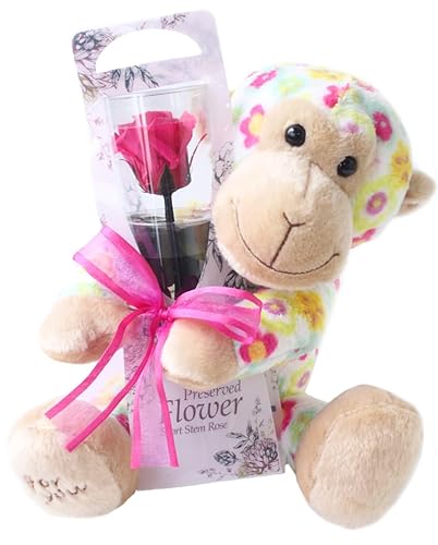 vU[uht[ vU[ht[ ԕTƈւKN sN v[g j LO a AW W t[Mtg t[AWg ͂Ȃo   ̓ v[g 