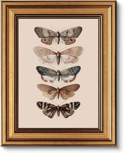 Gold Framed Wall Art, Vintage Moth Canvas Prints – Antique Moth & Butterfly Pictures Decor, Cottagecore Neutral Gallery Artwork for Living Room, Bedroom 9x11 inch