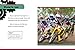 The Gearhead's Guide to Dirt Bikes (Gearhead Guides)