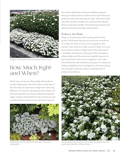 White Gardens: Creating Magnificent Moonlit Spaces: Guide to White and Luminous Plants (Creative Homeowner) How to Create a Night Garden with Plants that Reflect the Moon or Bloom in the Evening - Image 5