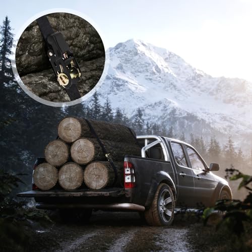 Spanngurte mit Ratsche und Haken, 4 Stück Spanngurte mit Haken, 6M x 25MM Zurrgurte mit Ratsche, Befestigungsgurt mit Nockenschnalle, TÜV/GS Zertifiziert, für Motorräder, Auto, Anhänger, Haushalt