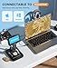 LCD Digital Microscope,4.3 Inch 1080P 10 Megapixels,10MP Camera Video Recorder with HD Screen,1-1000X Magnification Zoom Wireless USB Stereo Microscope Camera