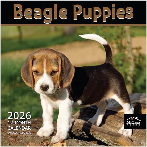 View 2