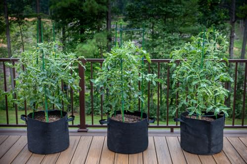Image of Gardzen 20-Pack 3 Gallon Grow Bags, Aeration Fabric Pots with Handles, Pot for Plants