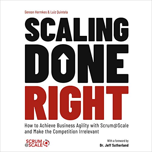 Scaling Done Right by Gereon Hermkes, Luiz Quintela episode artwork