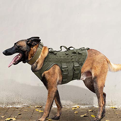Tactical Dog Gear Strelent Best Ammo Shop
