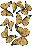 Set of 7 pieces. Plage 301508 3D Charming Butterfly Stickers Golden Butterflies [7 Butterflies Between 8 x 6,5 cm and 14 x 11 cm], plástico, Naranja, 14 x 0.1 X 11 cm