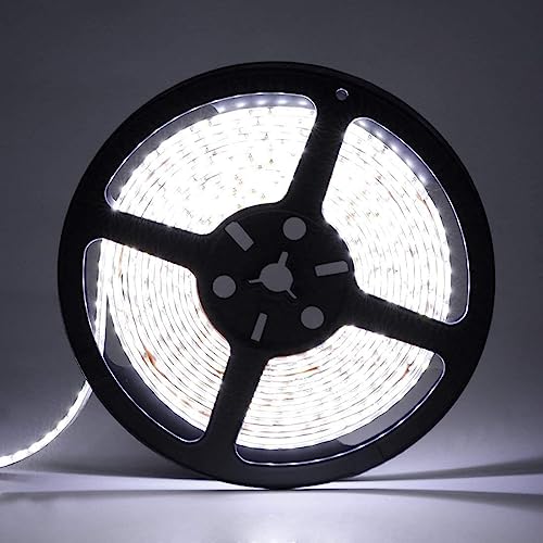 iNextStation Striscia LED Bianco 5M, 12V SMD2835 300LEDs Nastro LED Tagliabile Flessibile IP65 Impermeabile Strisce Luci LED per Camera da Letto, Decorazione Casa, Cucina (Senza Alimentazione)