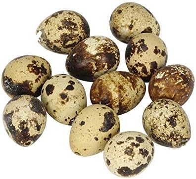Pack of 36 Quail Eggs Natural Blowed Out Natural Decoration Country House Easter Decoration Crafts Nursery Easter Decoration Eggs Quails Decorative Eggs Easter Decoration