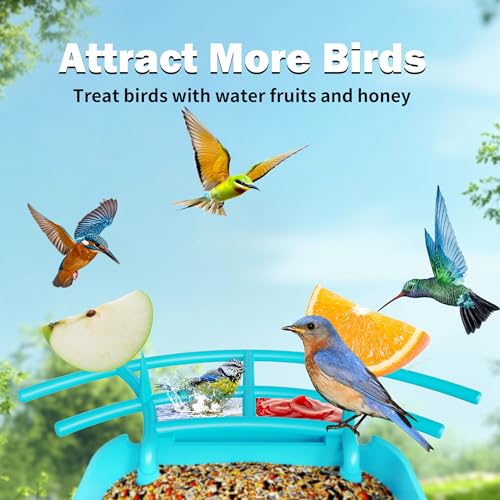 OIRHNL® 3L Capacity Smart Bird Feeder with Camera – Identifies 10,000+ Bird Species, 2K HD AI Recognition, Solar Powered, 64G SD, Water Bowl &#038; Fruit Pin, Auto Capture, 2.4G WiFi, Instant Alerts