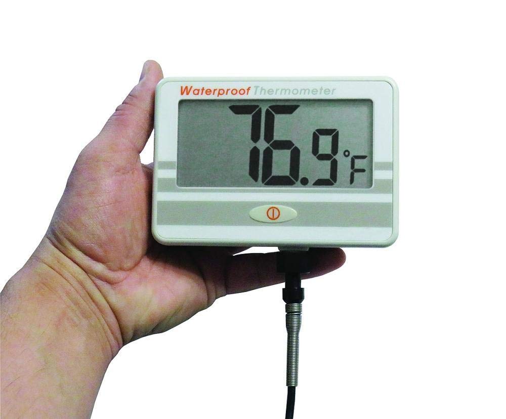 Large Display Temperature Monitor