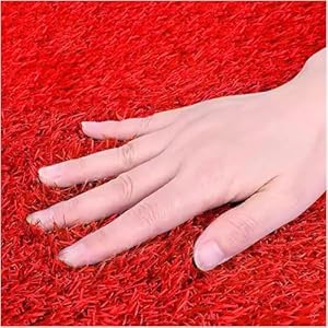 Loiytrd 666 Czerwona Sztuczna Trawa 0,78 cala