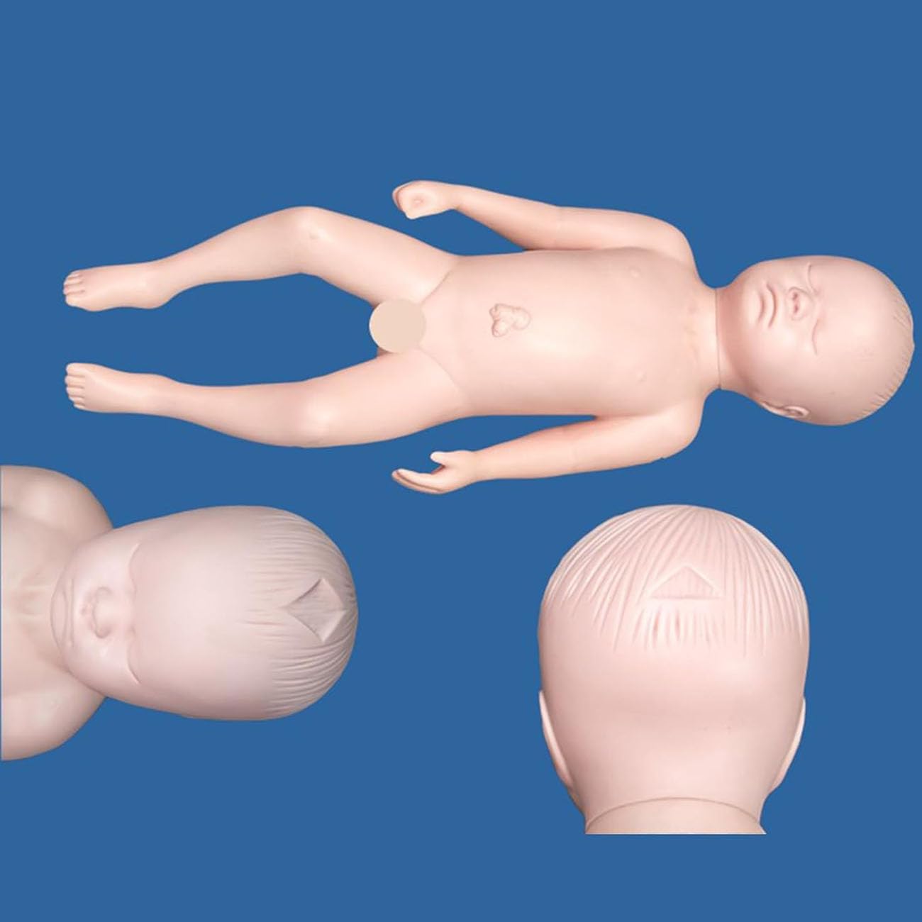 Model Miednicy Demonstracyjny Do Porodu, Naturalnej Wielkości Model Miednicy Kobiecej Z Dzieckiem I Łożyskiem, Narzędzia I Materiały Edukacyjne Do Porodu, 48 Cm