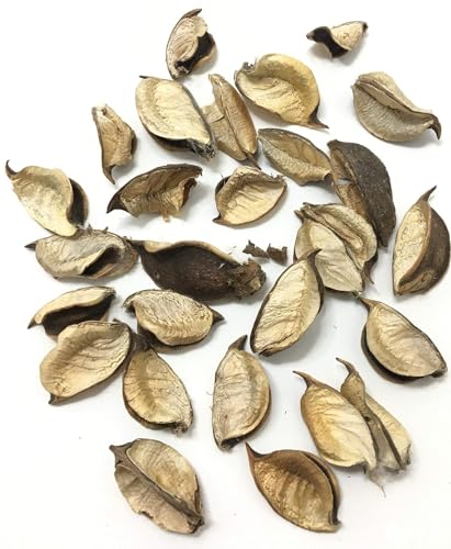 Image of Decorative Vanilla Scented Dried Flowers Home Fragrance Sachet of Petal Potpourri Bags (Brown, 130gm)