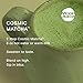 Moon Juice - Cosmic Matcha - Mushroom Based Adaptogenic Matcha Powder Latte Mix for Healthy Skin & Energy - Matcha, Ashwagandha, Hyaluronic Acid & Silver Ear Mushroom - Non-GMO, Gluten-Free (4.6oz)