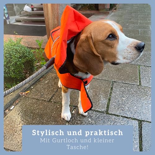 Bella & Balu Hunderegenmantel wasserdicht mit Kapuze und Reflektoren für sichere Gassigänge, Hundespielplatz und Urlaub (L, Orange)