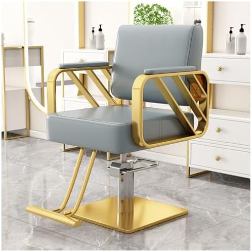 Heavy Duty Hydraulic Salon Styling Chair for Hair Stylists & Beauty Spas, Professional Barber Chair, Durable Hairdressing Equipment, Comfortable & Adjustable