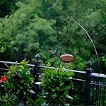 FLINTER Hanging Bird Feeder - Metal Mesh Platform Feeders for Garden Yard - Attracts Birds - Genuine - Image 5