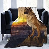 Chickw11 Calda Coperta di Flanella, Morbida Comfort Leggera Pile Coperte Coperta Tutte Le Stagioni Multifunzionale per Divano o Letto Singolo Matrimoniale (Volpe delle Nevi,100x150cm