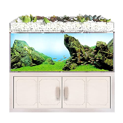ベタフィッシュタンク水族館キットアクリル素材セパレートフィルターボックスミニデスクトップスモールフィッシュタンクウォーターポンプセルフフィルタリング循環エコシステム、ベタフィッシュとグッピー用 (White)