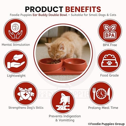 Image of Foodie Puppies Pet Feeding Tilted Cat Bowl - (Ear Buddy Double Bowl) | Durable, Anti Vomiting, Healthy Cat Feeder for Persian Cat Prevent Tipping Over | Feeder for Cats, Kittens & Puppies