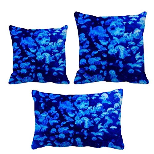 Housse de coussin méduse motif imprimé haute définition science