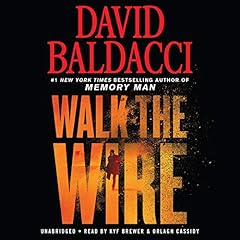 Walk the Wire Titelbild
