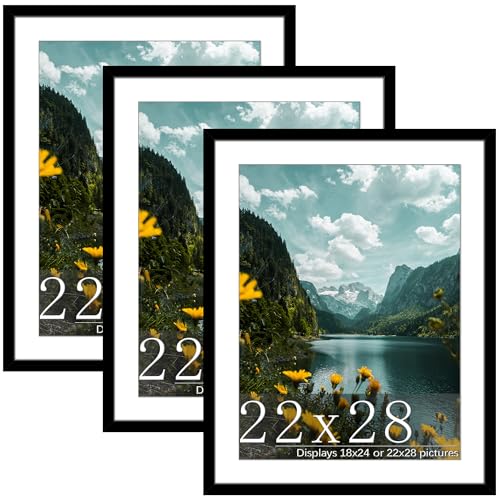 Picrit 22x28 Frame 3 Pack, Black Poster Frame, Display Poster 18 x 24 with Mat or 22 x 28 without Mat for Horizontal or Vertical Wall Mounting