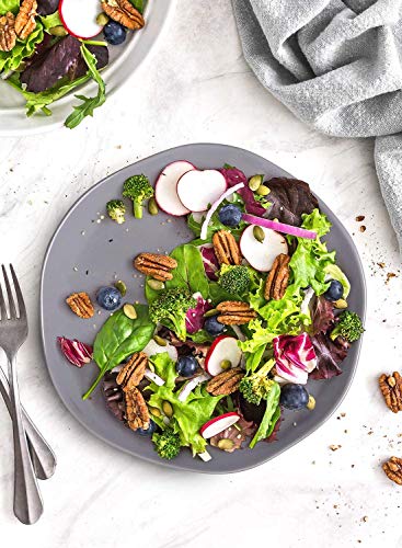 Le Tauci Dinnerware Sets 12 Piece, Serve For 4, Ceramic Plates And Bowls Set (10" Dinner Plates + 8" Salad Dish + 22 Oz Bowl) X 4, House Warming Wedding Gift, Dishwasher Microwave Oven Safe - Grey #TOP4