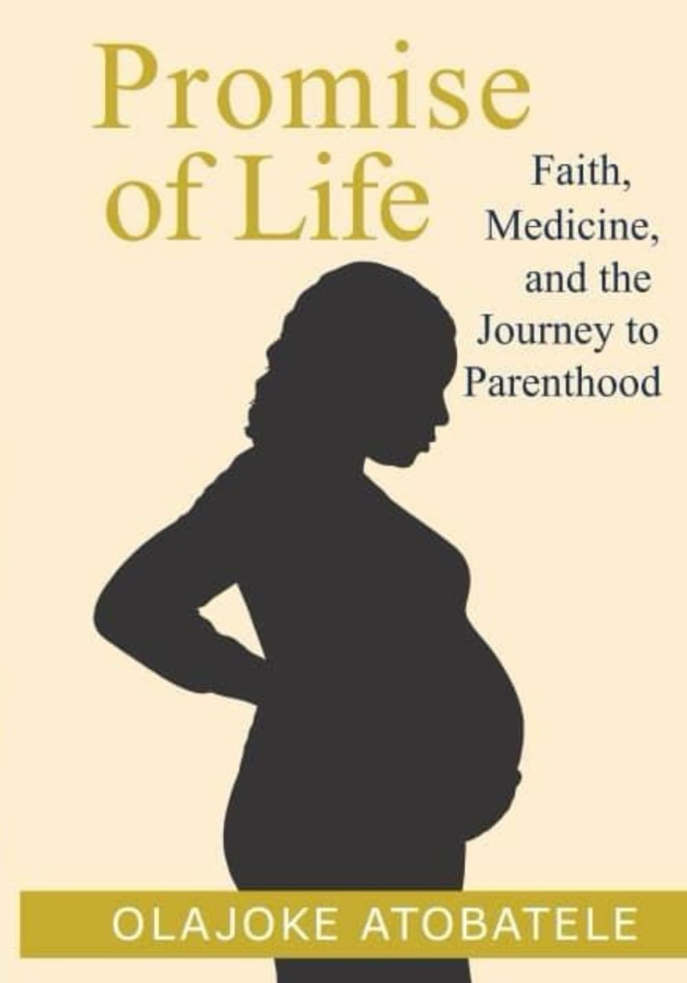 The Promise of Life: Faith Medicine and the Journey to Parenthood