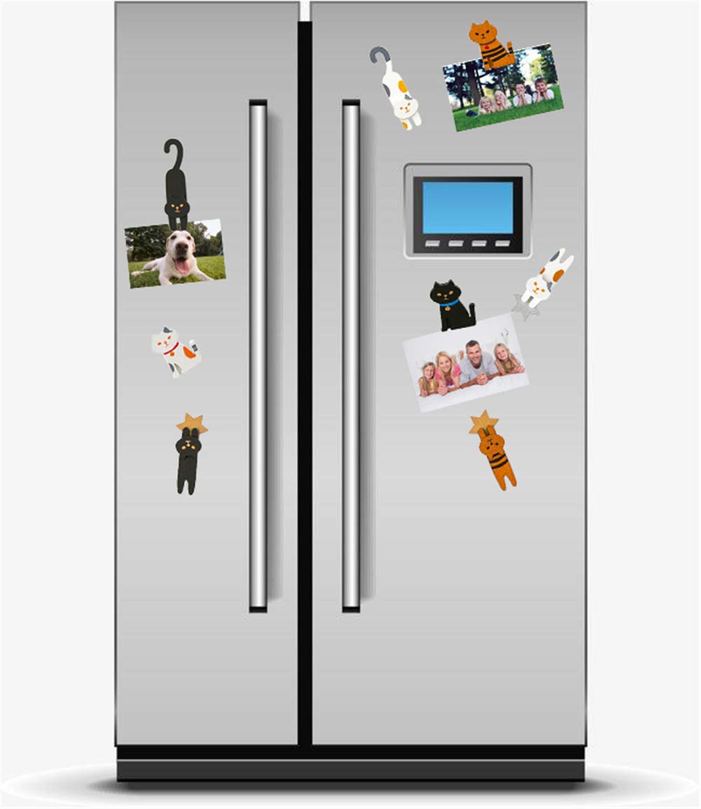 Calamita Frigo Divertente Gatto Calamita Frigo Divertente Con Meme Gatto - Design Umoristico, Perfetta Per Regali O Decorazione Calamite Da Collezione Londra